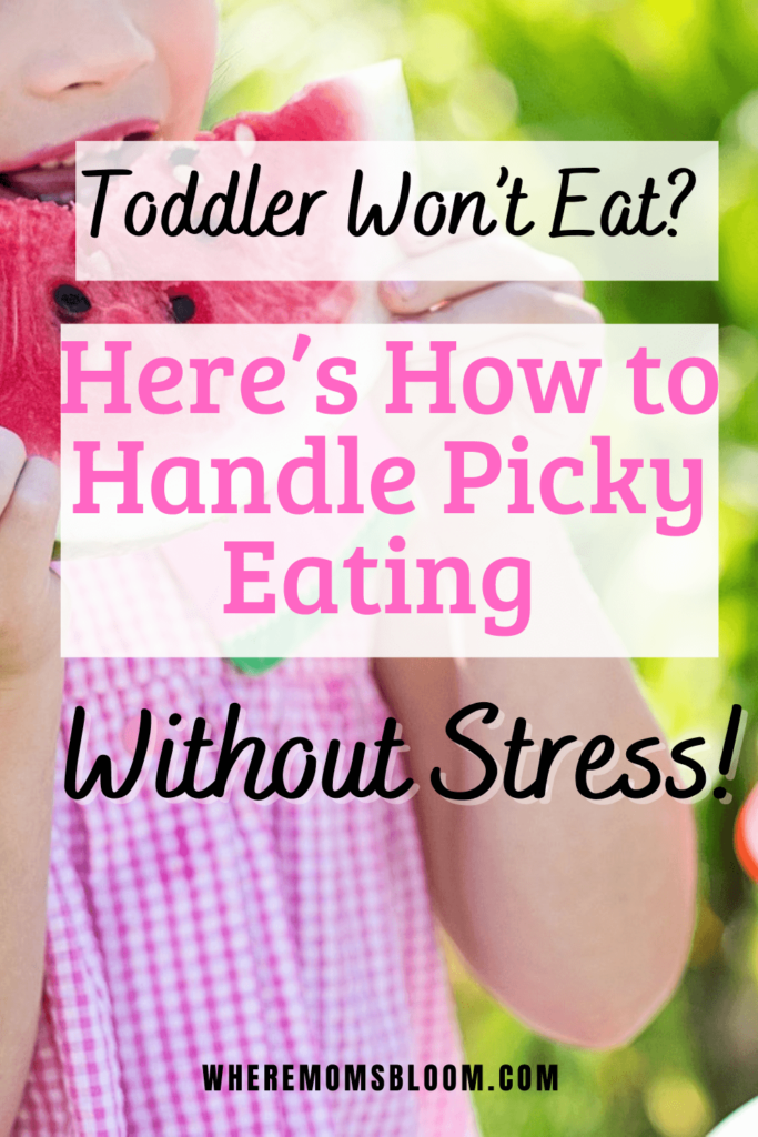 Toddler Won’t Eat? Here’s How to Handle Picky Eating Without Stress
